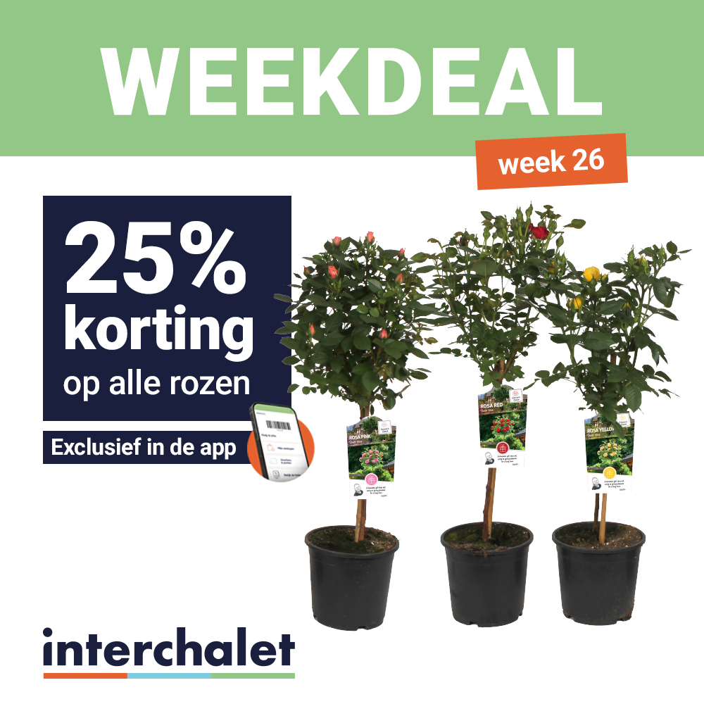 weekdeal week 26